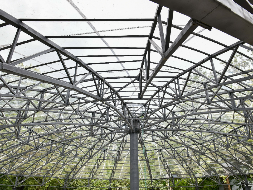 Фото: пресс-служба администрации г.о. Химки