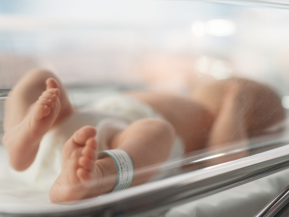 Фото: istockphoto.com/gorodenkoff 