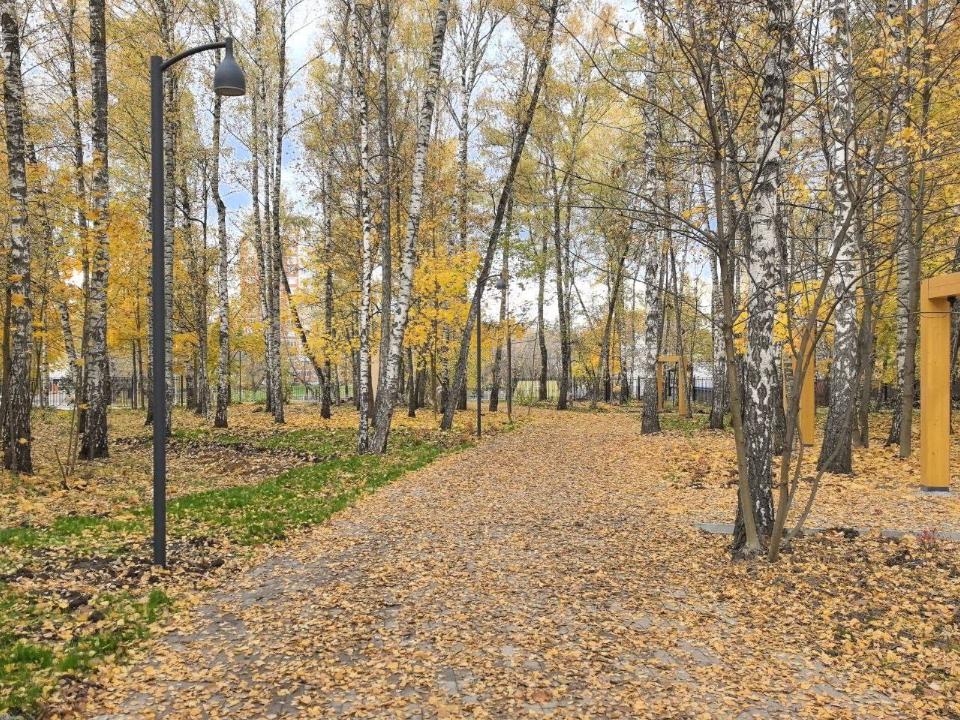 Лесопарк «Березки». Фото: t.me/podolskadm