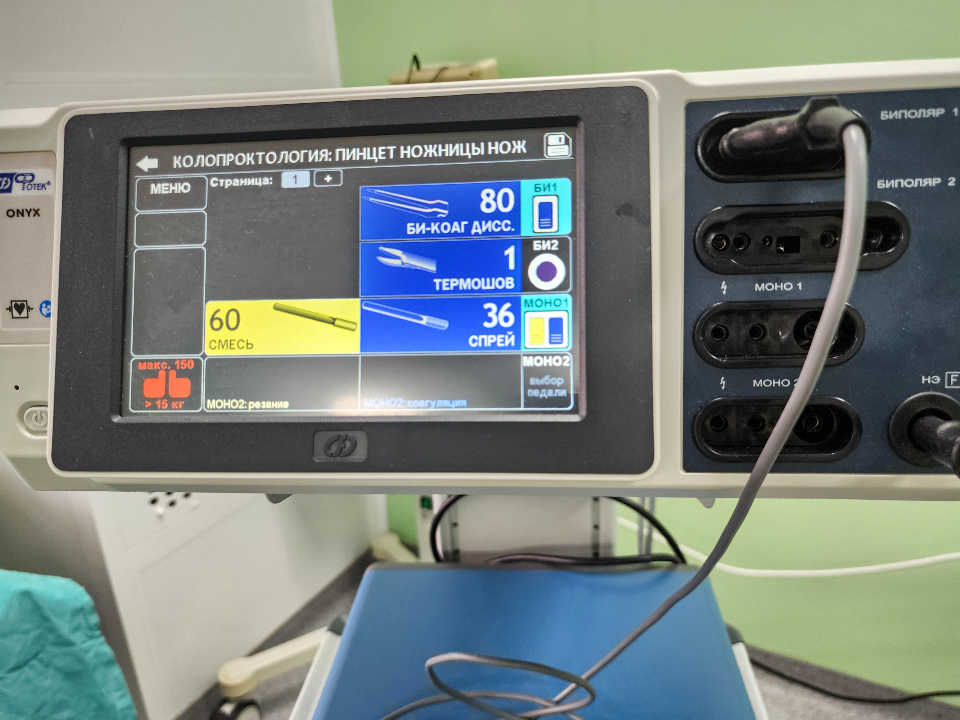 Фото: МедиаБанк Подмосковья/Мария Андрюхина