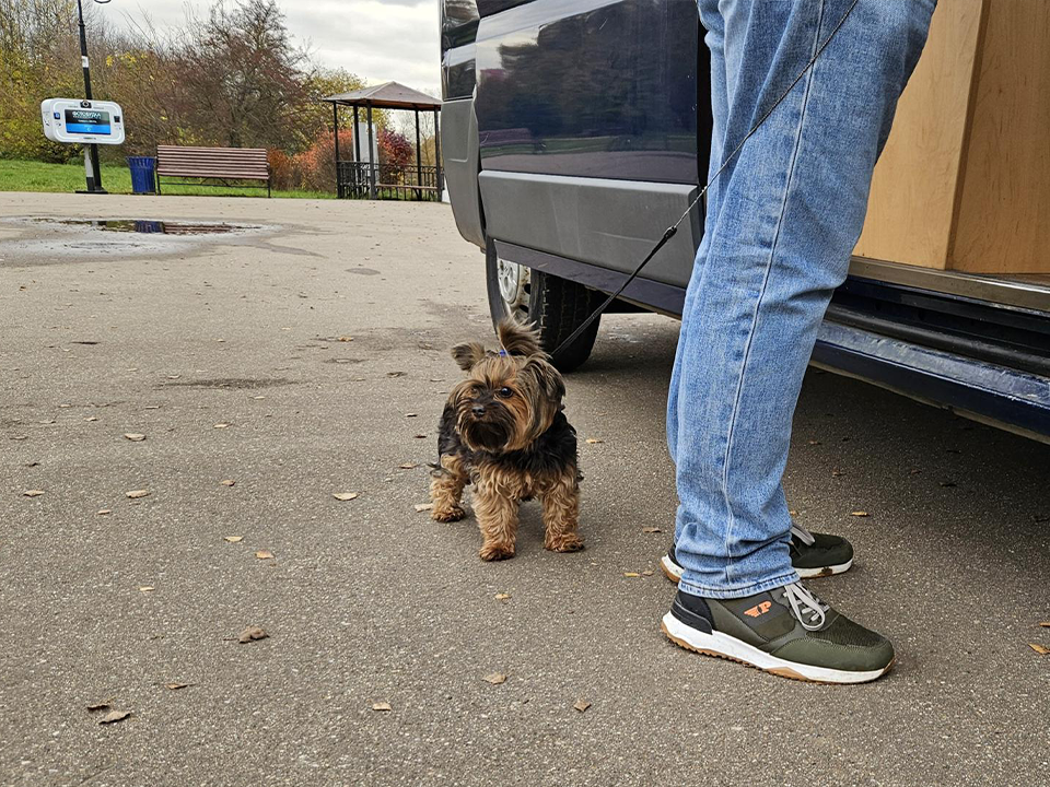 Фото: МедиаБанк Подмосковья/Вероника Горбачева