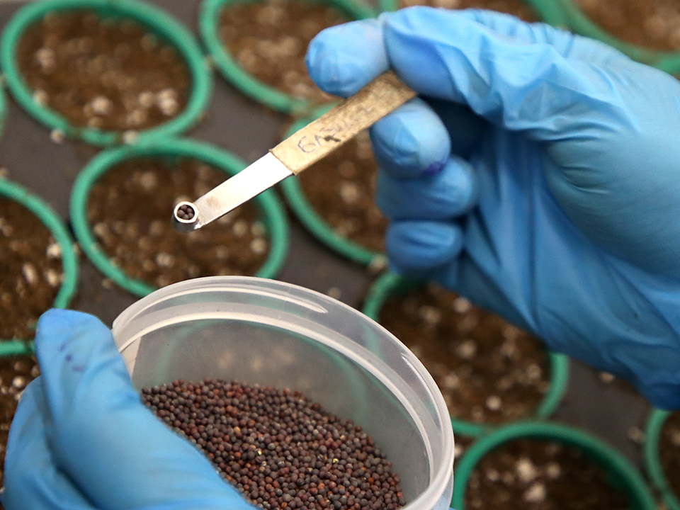 Фото: ТАСС/Антон Новодережкин