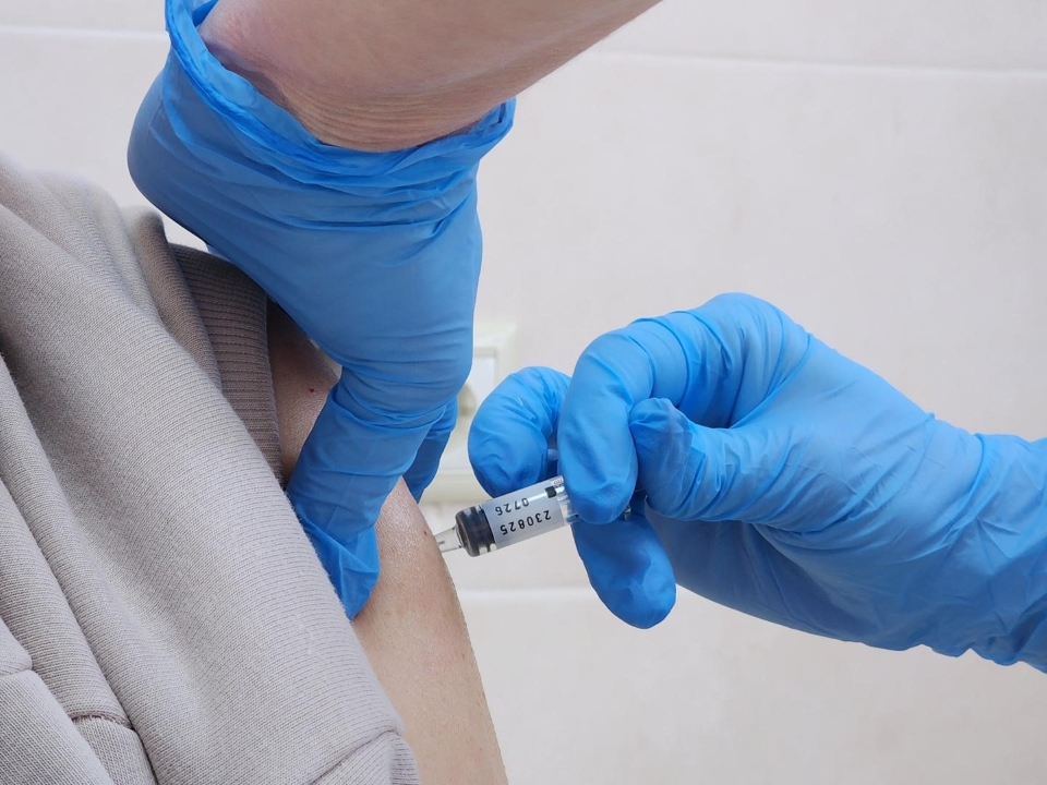 Фото: МедиаБанк Подмосковья/Анна Мороз