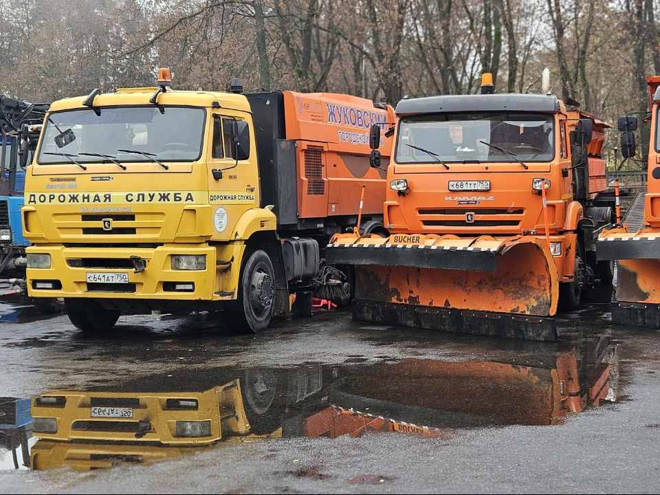 Фото: МедиаБанк Подмосковья/Ольга Вельшикаева
