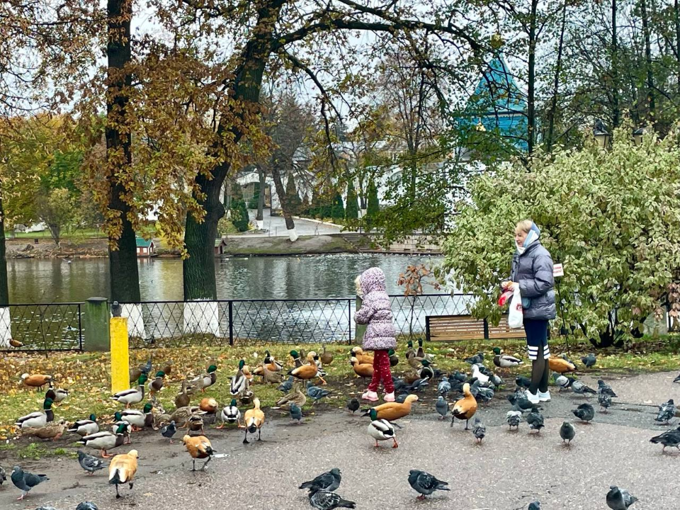 Фото: t.me/tvugresha