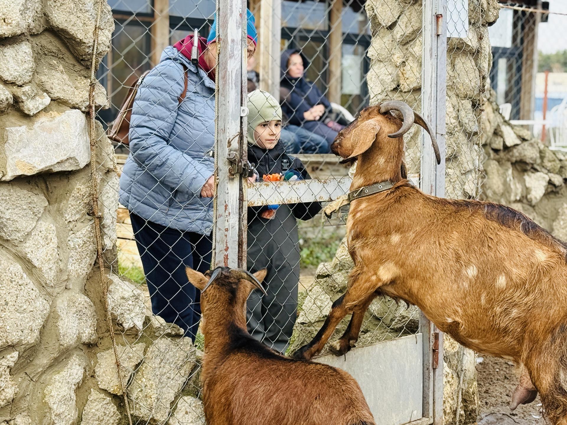 Фото: МедиаБанк Подмосковья/Ольга Стаферова