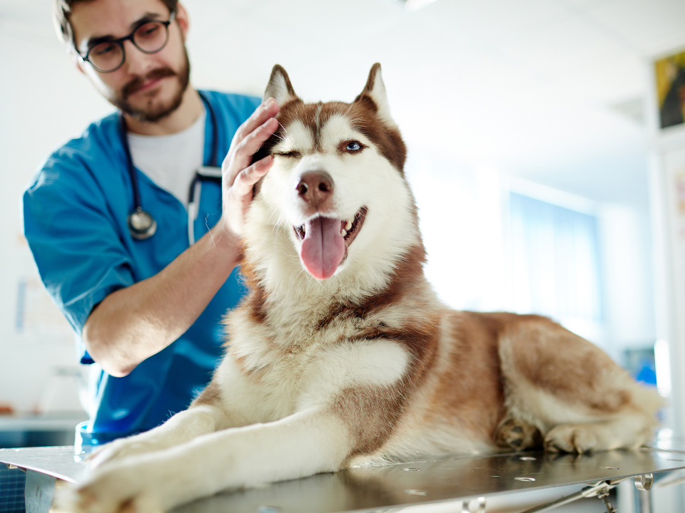 Фото: istockphoto.com/shironosov