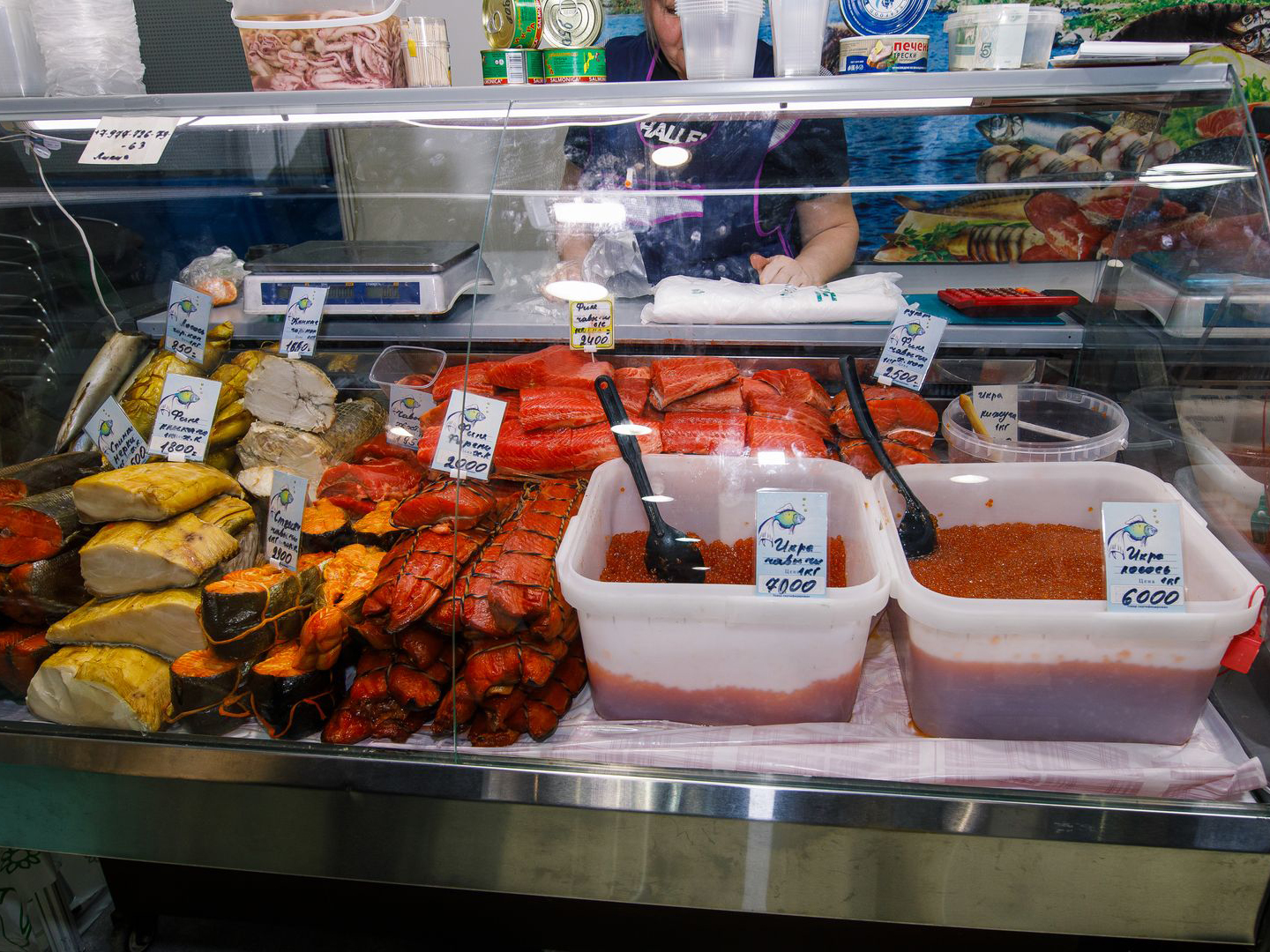 Фото: медиасток.рф