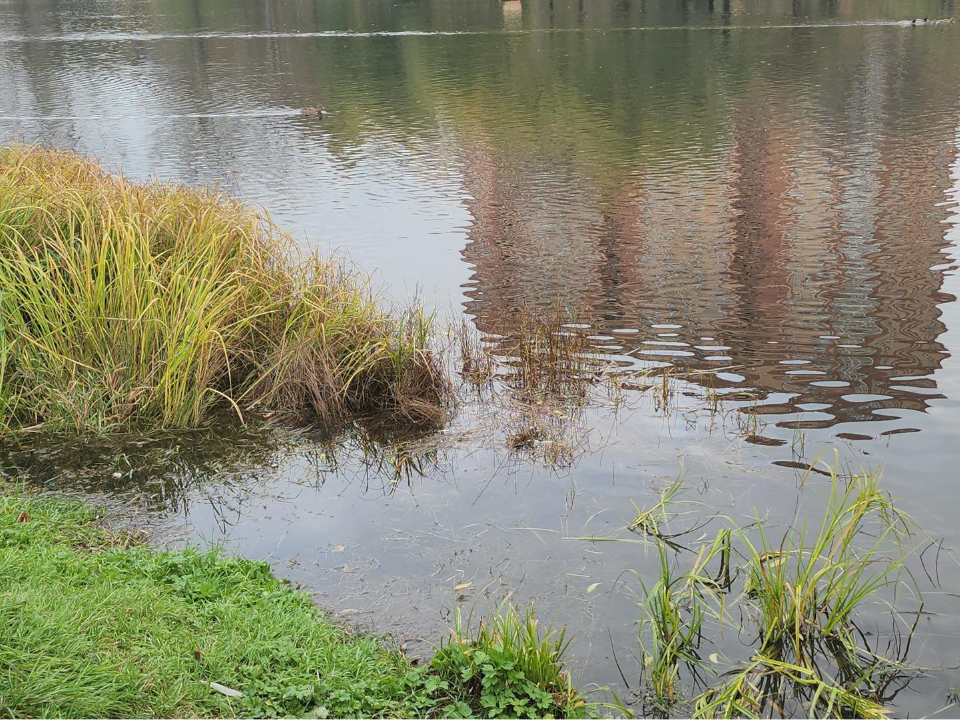 Фото: МедиаБанк Подмосковья/Наталья Лымарь