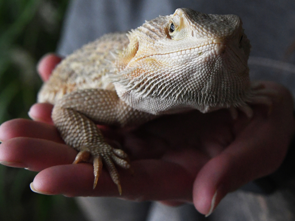 Фото: РИА Новости/Виталий Аньков