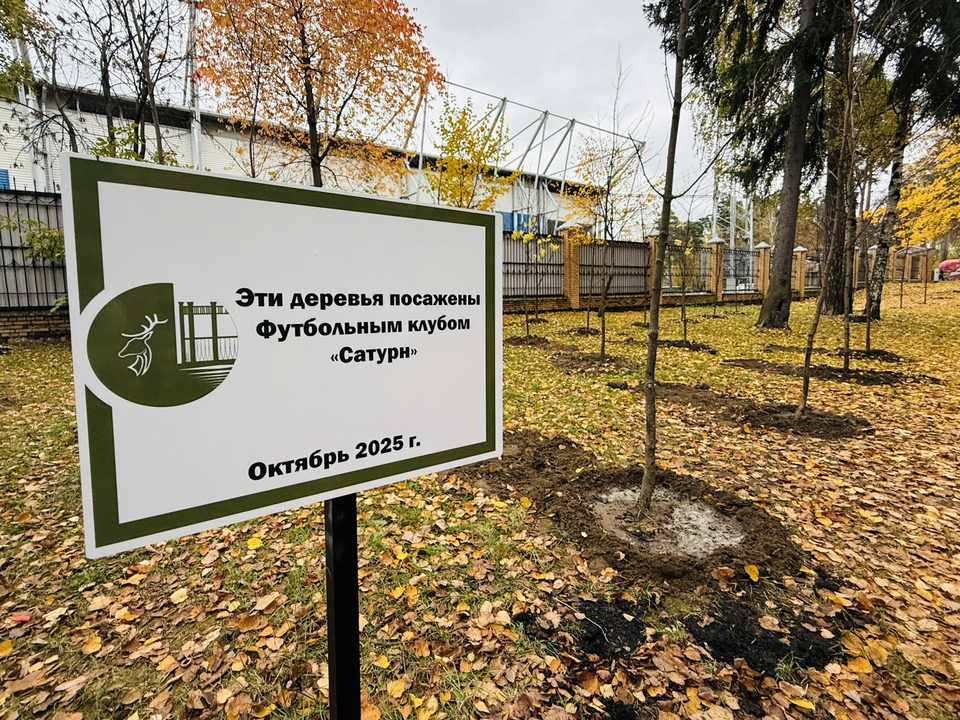 Фото: МедиаБанк Подмосковья/Ольга Стаферова