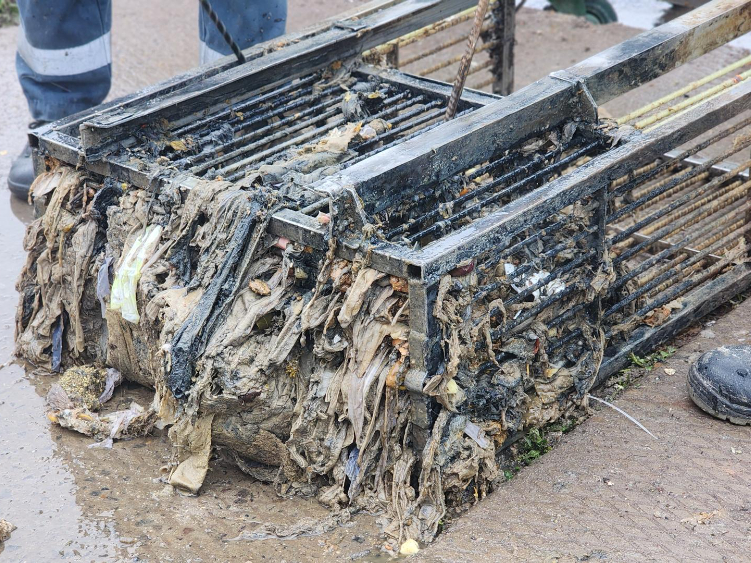 Фото: МедиаБанк Подмосковья/Валерия Тингаева