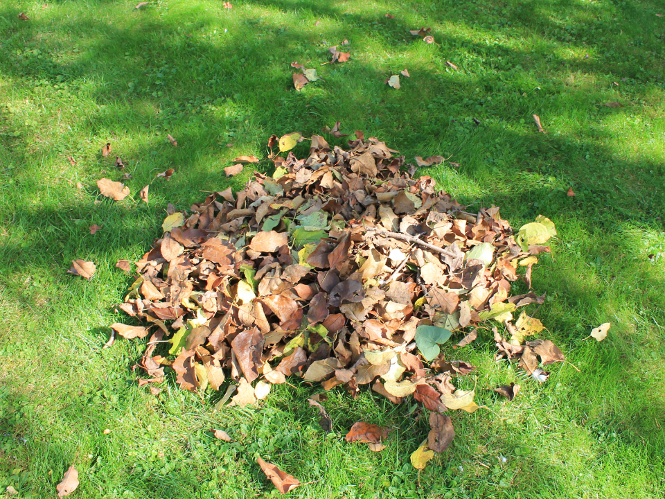 Фото: REGIONS/Илья Попов