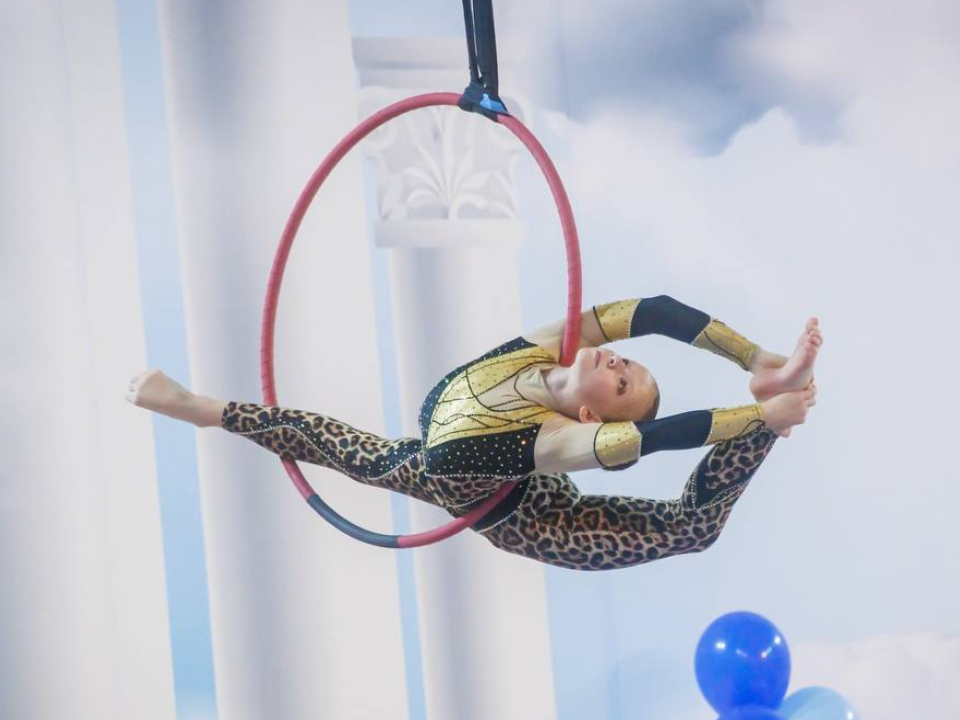 Фото: волоколамская школа воздушной гимнастики «Звездное небо»