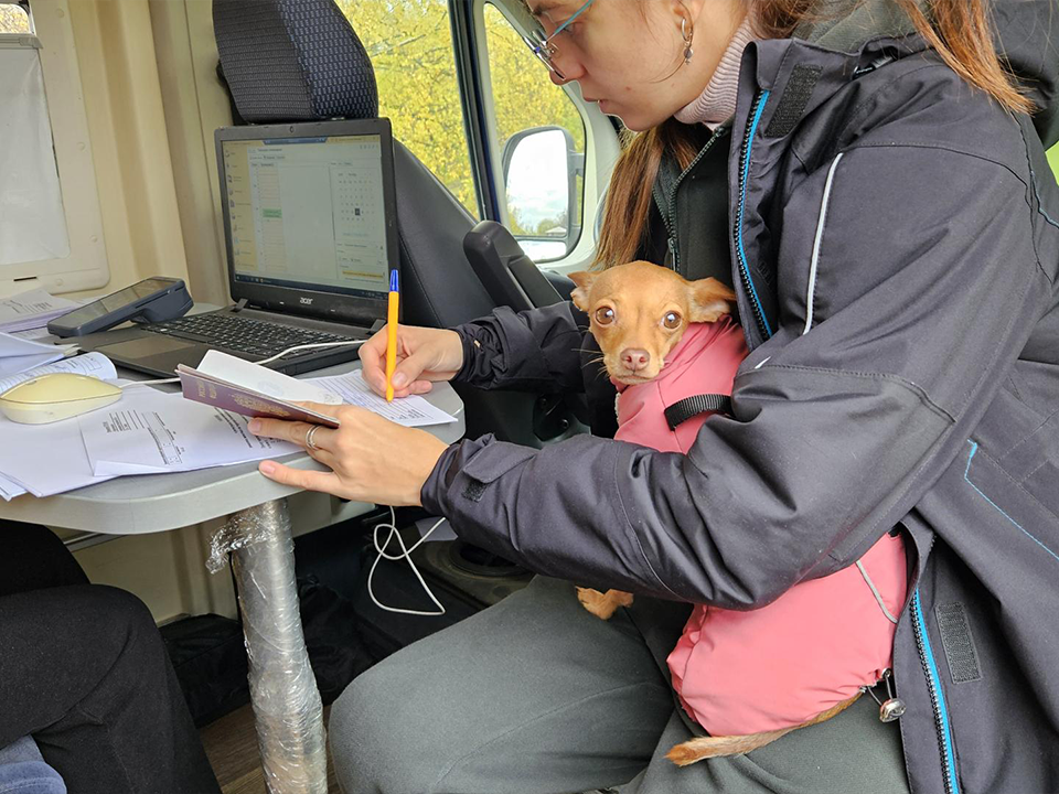 Фото: МедиаБанк Подмосковья/Вероника Горбачева