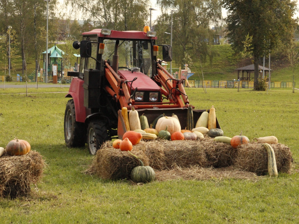 Фото: vk.com/Парк «Ривьера» | Можайск