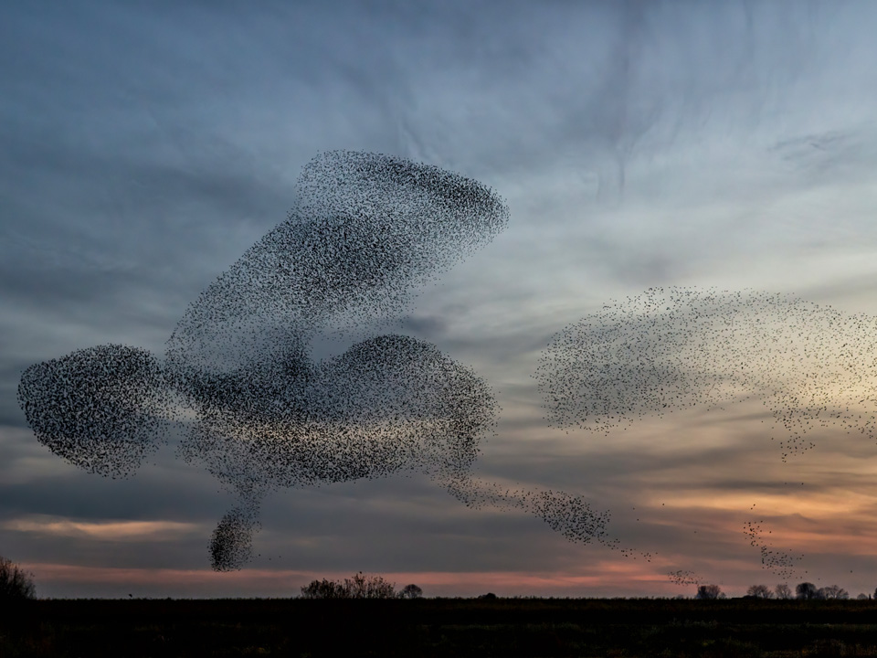 Фото: istockphoto.com/Henk Bogaard 