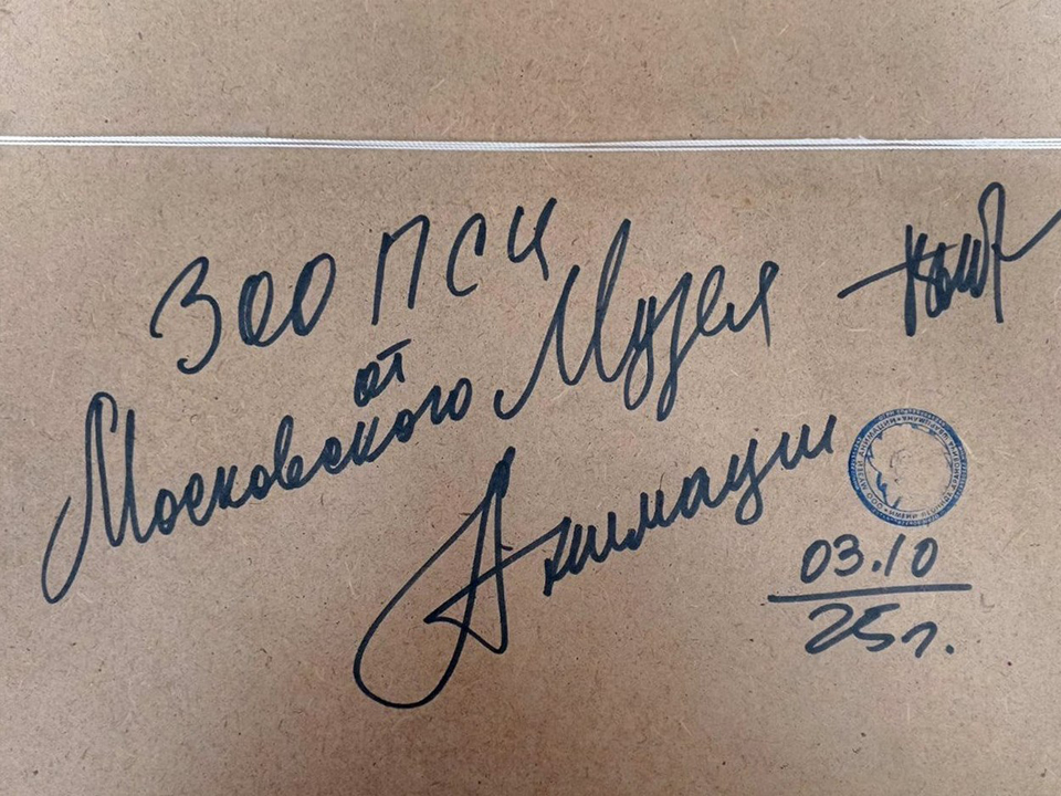 Фото: ГКУ МО «Мособлпожспас»