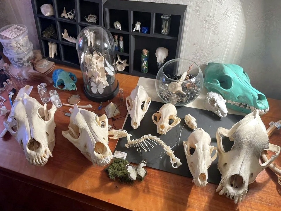 Фото: личный архив Анны Алтуховой