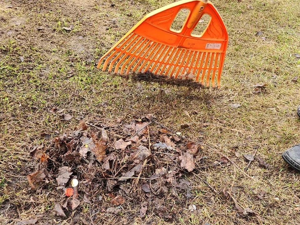 Фото: REGIONS/Наталия Надточая