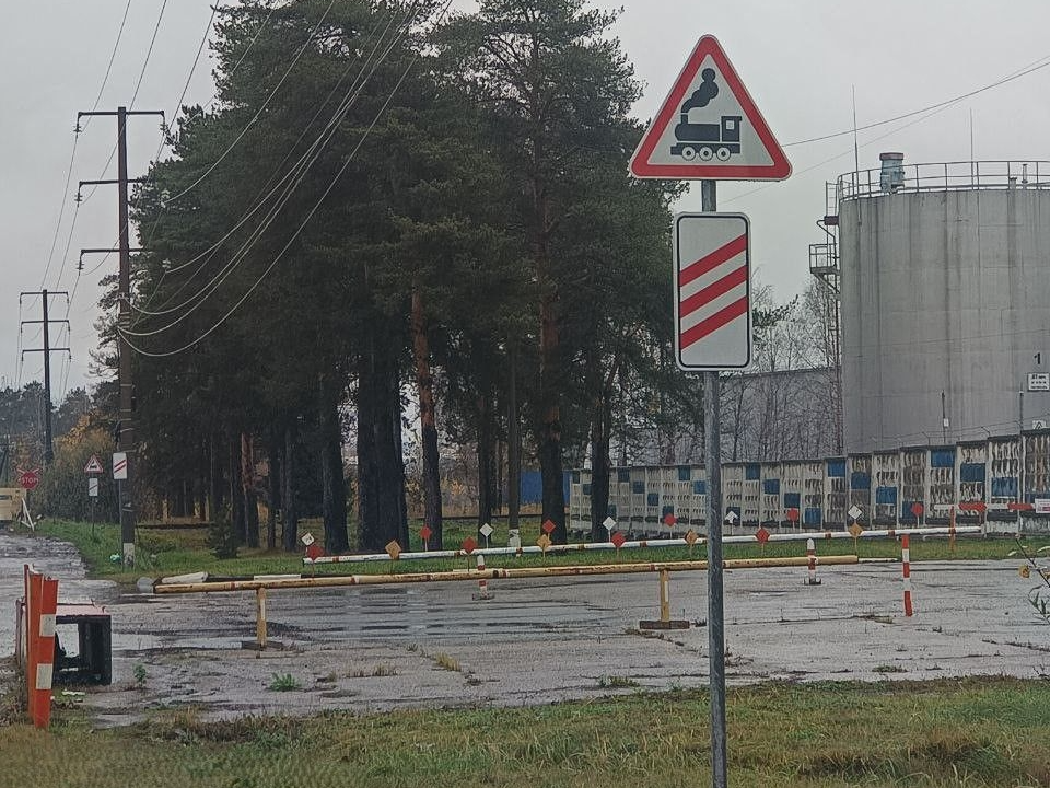 Фото: пресс-служба администрации Наро-Фоминского г.о.  