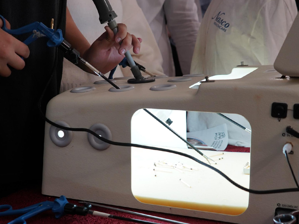 Фото: Медиабанк Подмосковья/Екатерина Елисеева