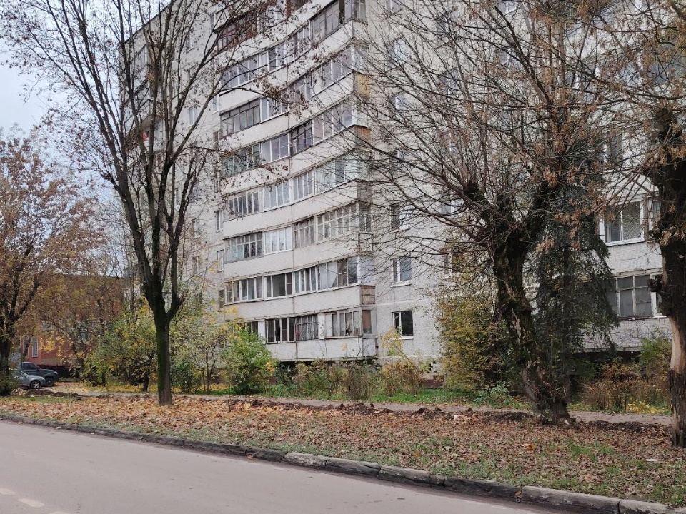 Фото: пресс-служба администрации г.о. Лосино-Петровский