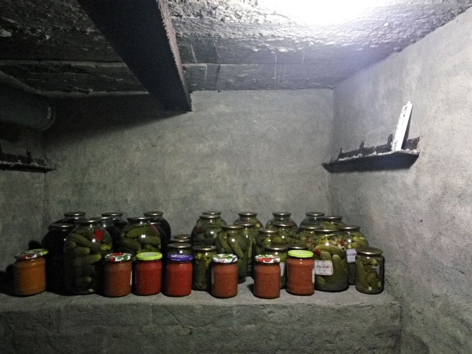 Фото: REGIONS/Максим Зубарев