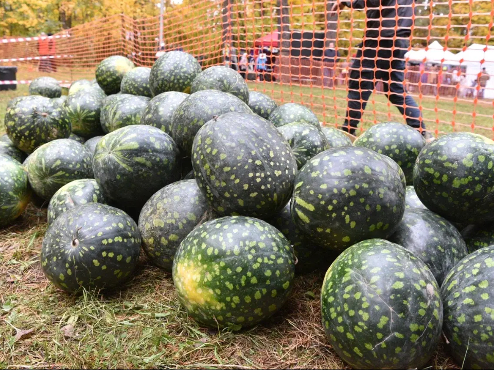 Фото: пресс-служба администрации Балашихи