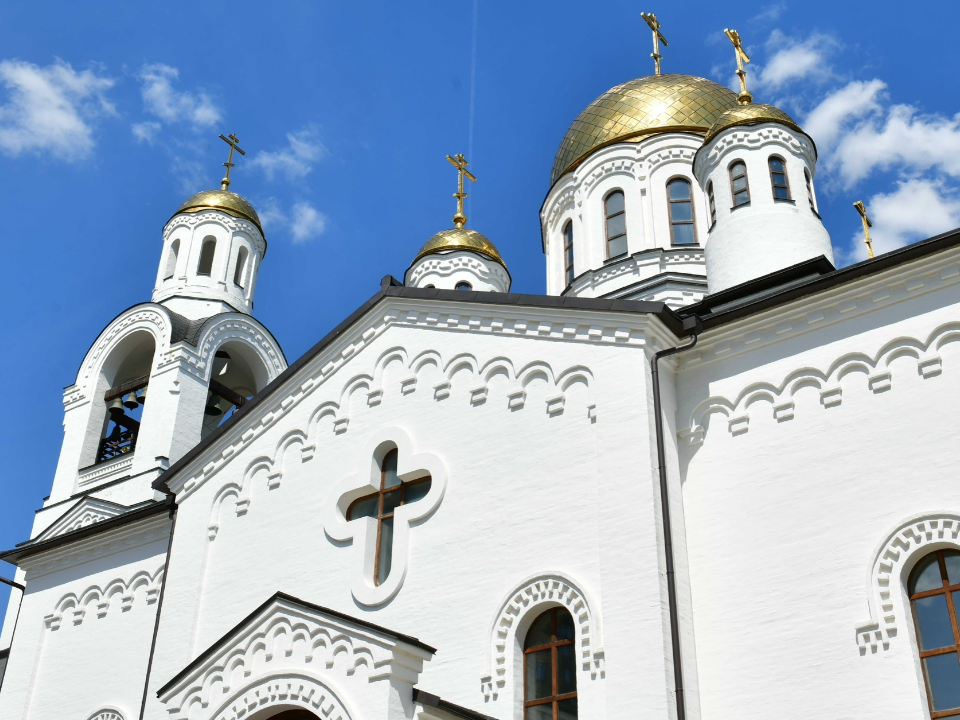 Фото: пресс-служба администрации г.о. Химки