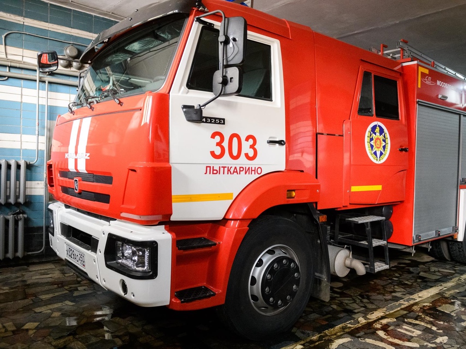 Фото: Дарья Сивова