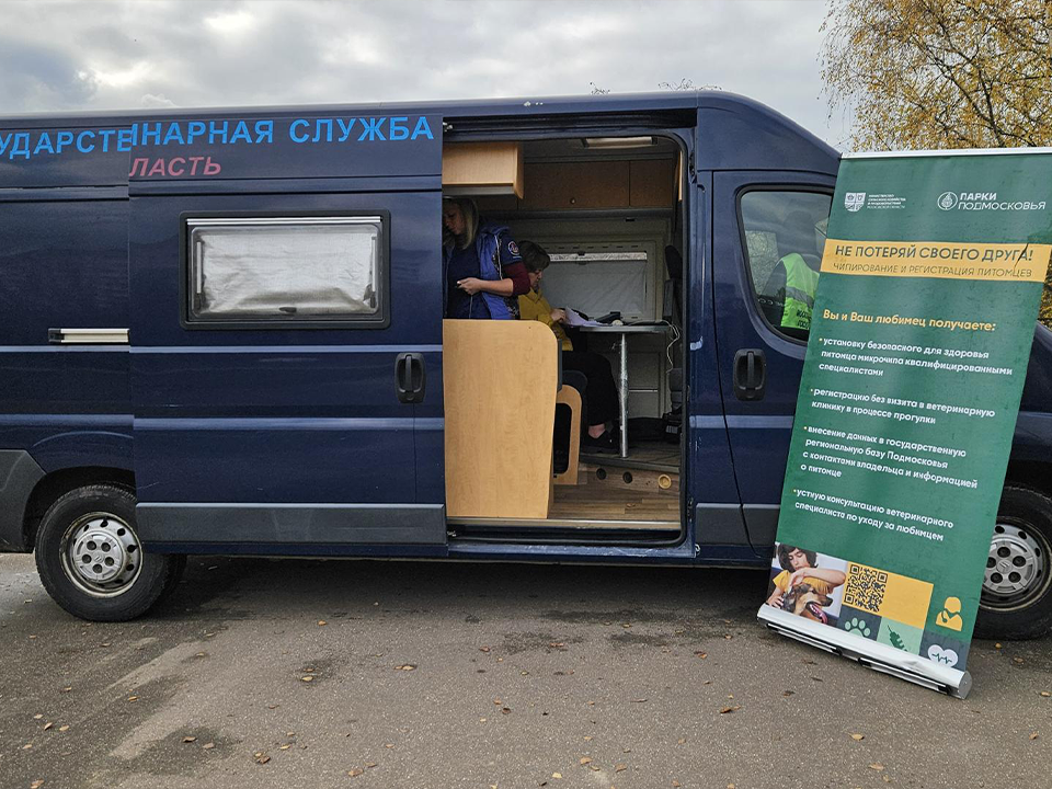 Фото: МедиаБанк Подмосковья/Вероника Горбачева