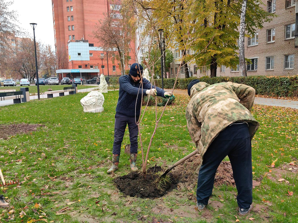 Фото: REGIONS/Елена Катасонова