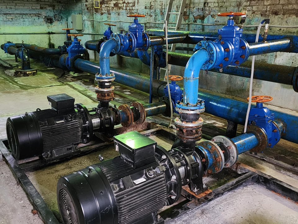 Фото: Медиабанк Подмосковья/Дмитрий Алексеенко