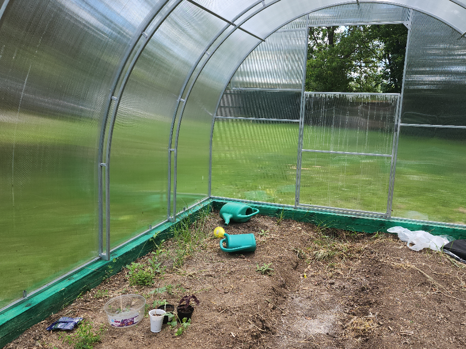 Фото: МедиаБанк Подмосковья/Ольга Шеметова