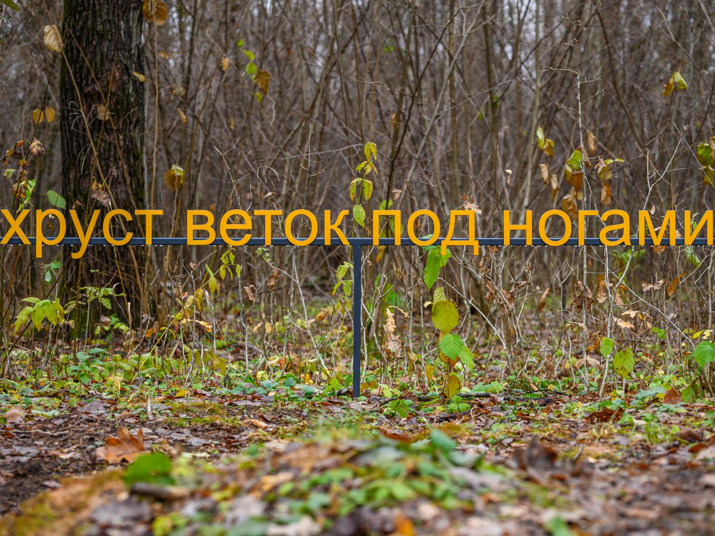 Фото: медиасток.рф