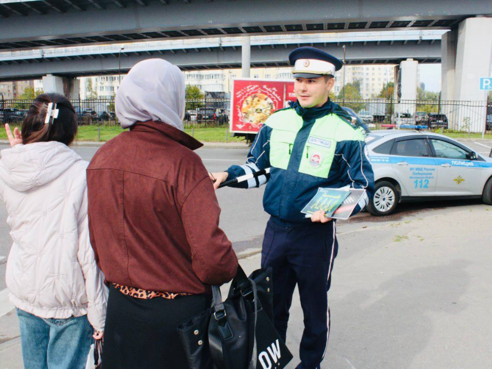 Фото: Госавтоинспекция Московской области