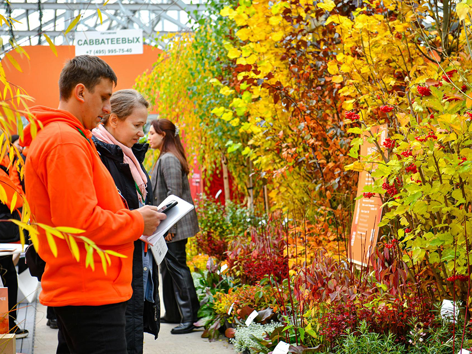Фото: МедиаБанк Подмосковья/Иван Чижов