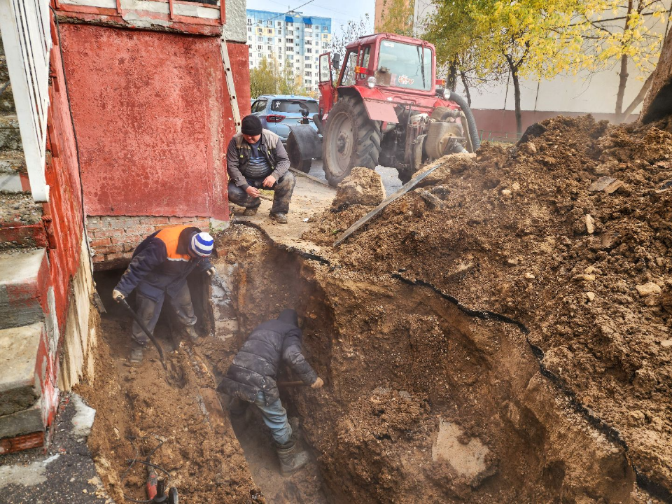 Фото: Медиабанк Подмосковья/Мария Андрюхина