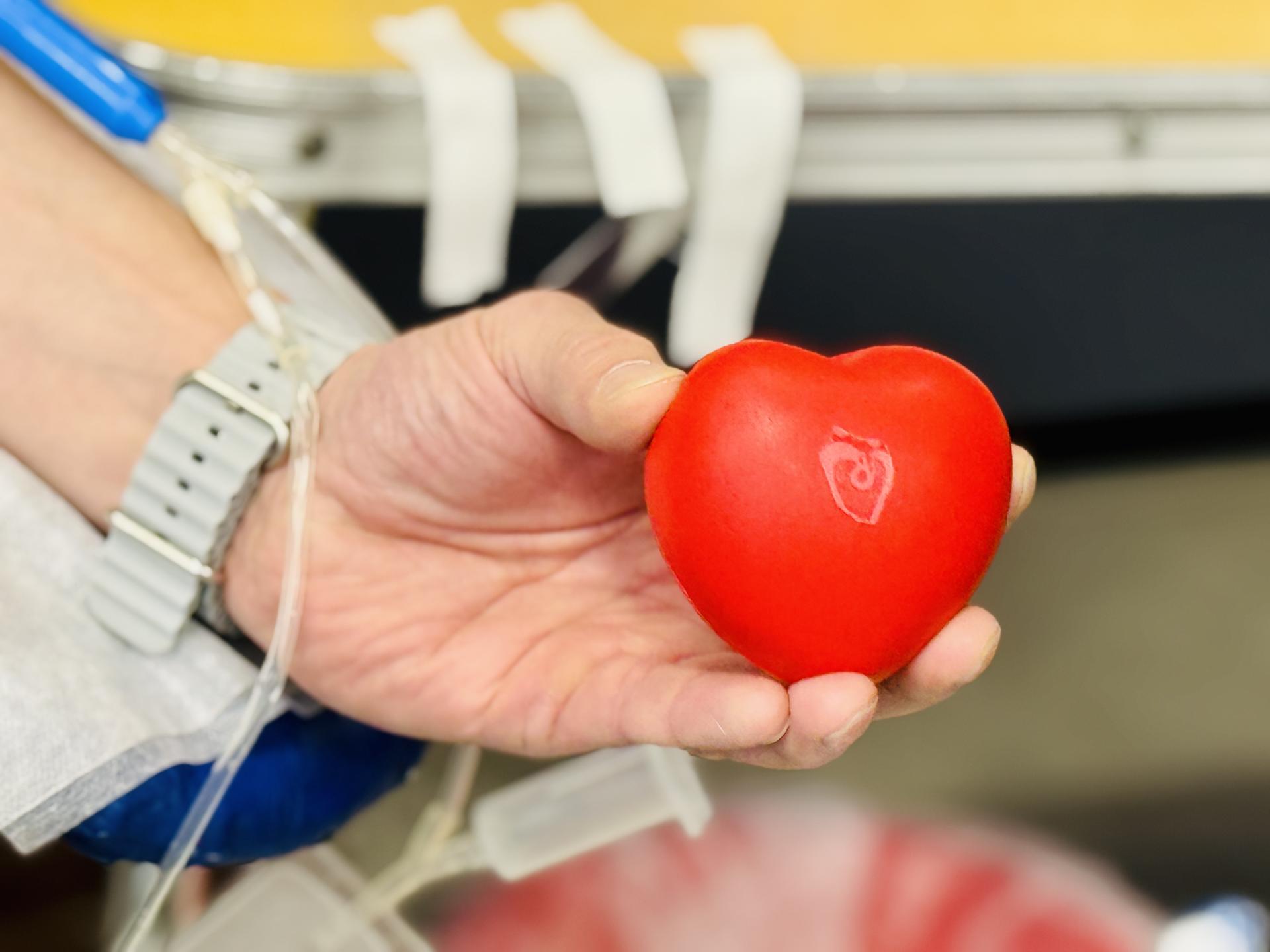 Фото: МедиаБанк Подмосковья/Ольга Стаферова