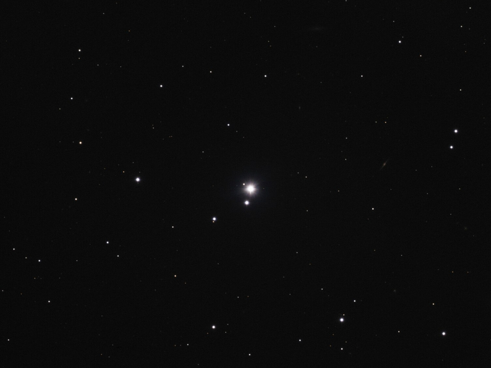 Фото: сommons.wikimedia/David Ritter