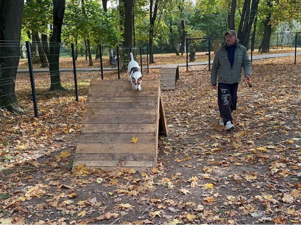 Фото: МедиаБанк Подмосковья/Эдуард Стратонов