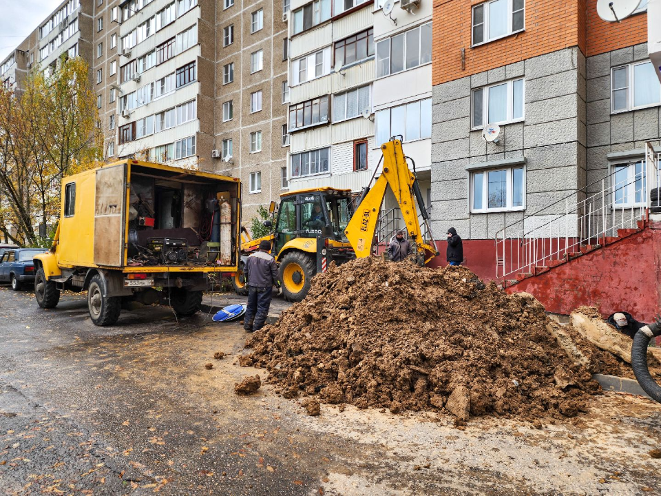 Фото: Медиабанк Подмосковья/Мария Андрюхина