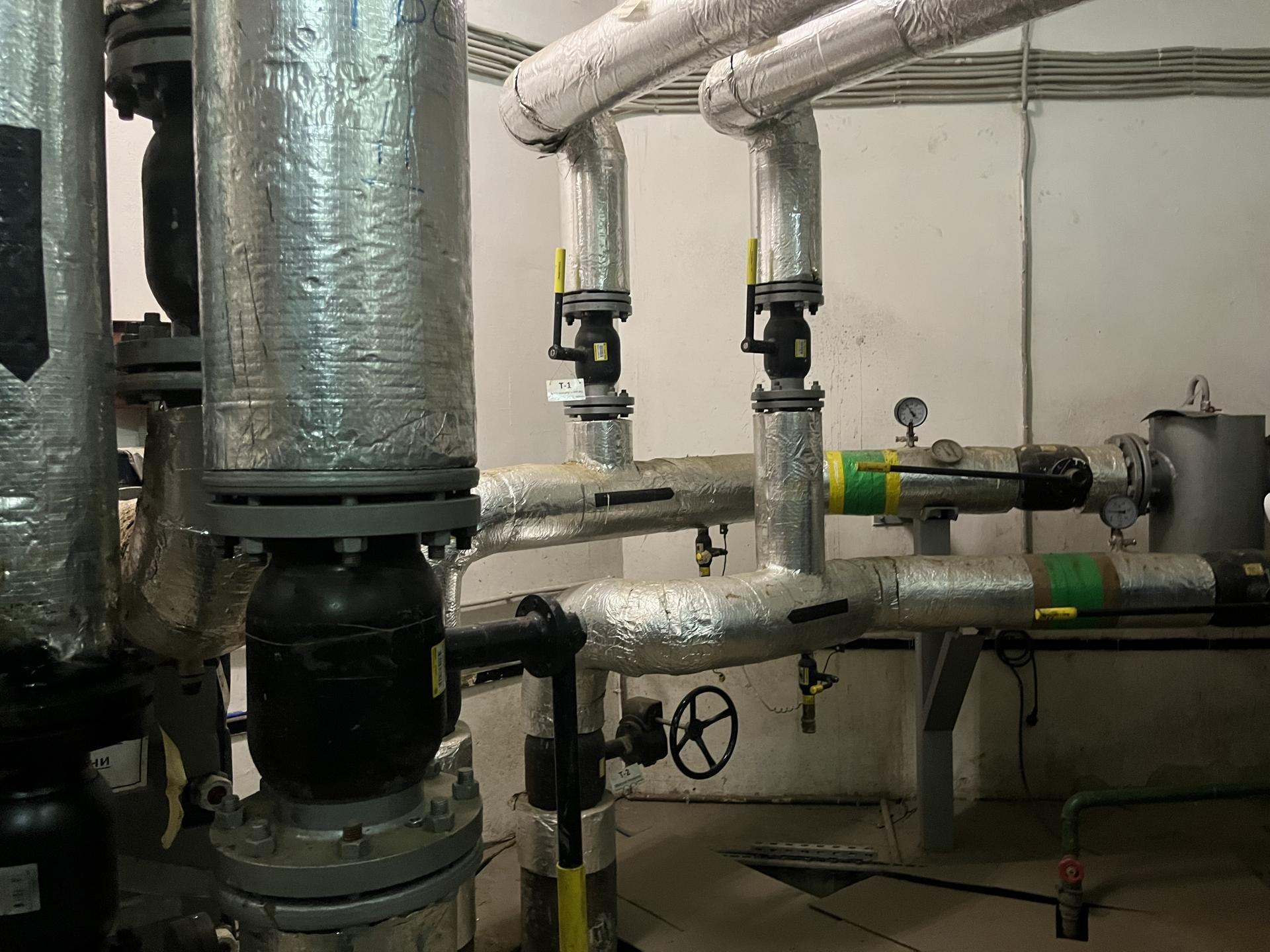 Фото: REGIONS/Кристина Ларина