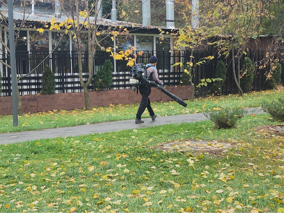 Фото: МедиаБанк Подмосковья/Наталья Лымарь