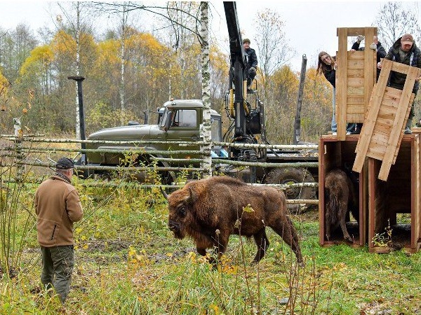 Фото: Приокско-Террасный государственный заповедник