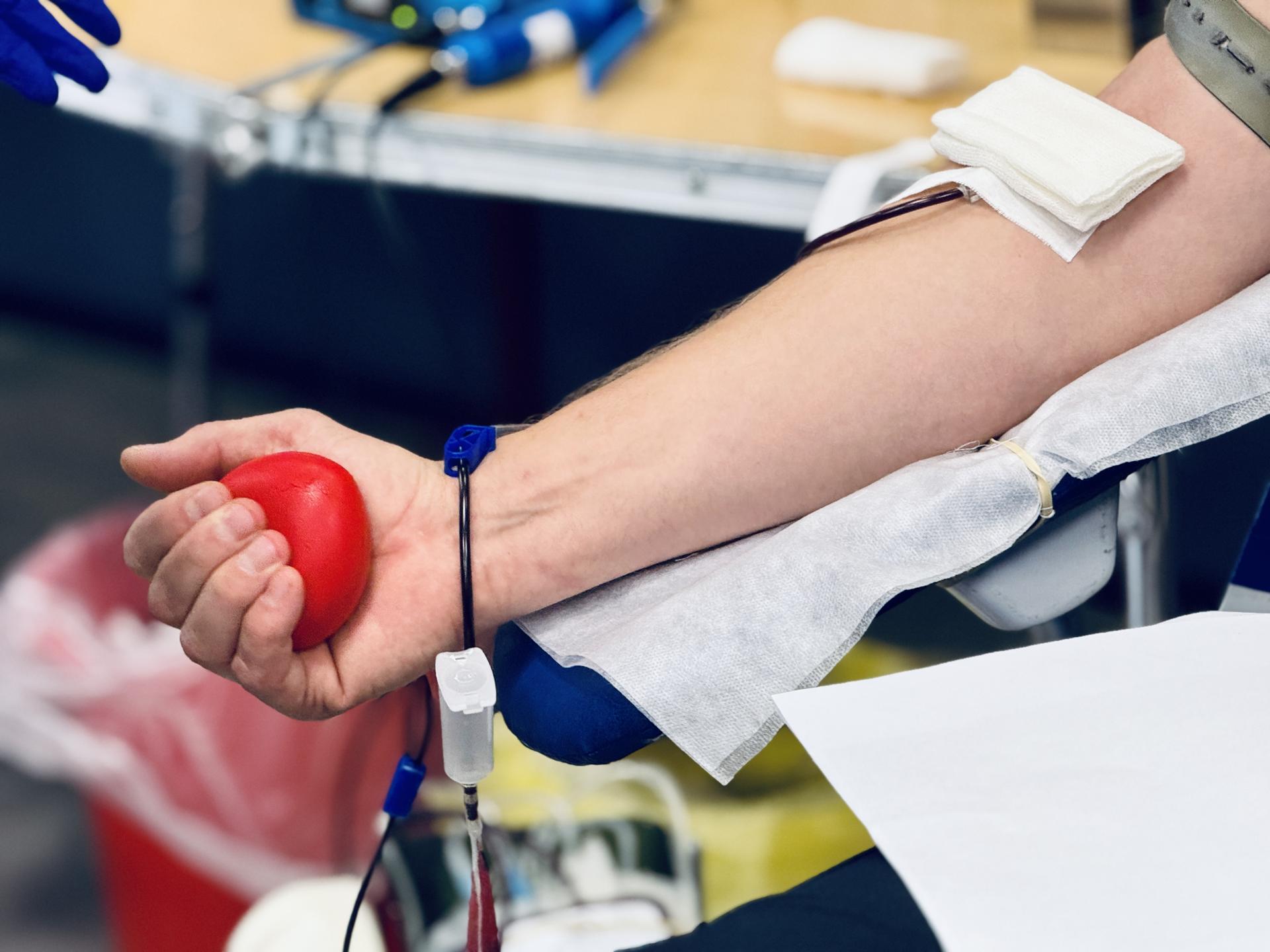 Фото: МедиаБанк Подмосковья/Ольга Стаферова