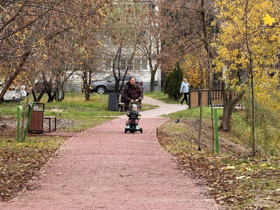 Фото: Министерство благоустройства Московской области