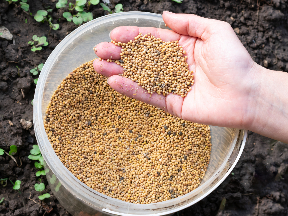 Фото: istockphoto.com/Leisan Rakhimova