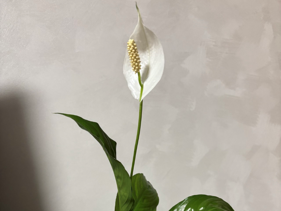 Фото: REGIONS/Анастасия Соловьева